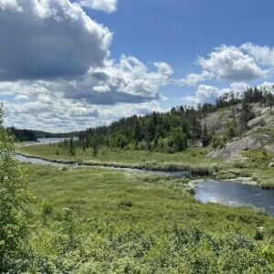Image 5 Image 5