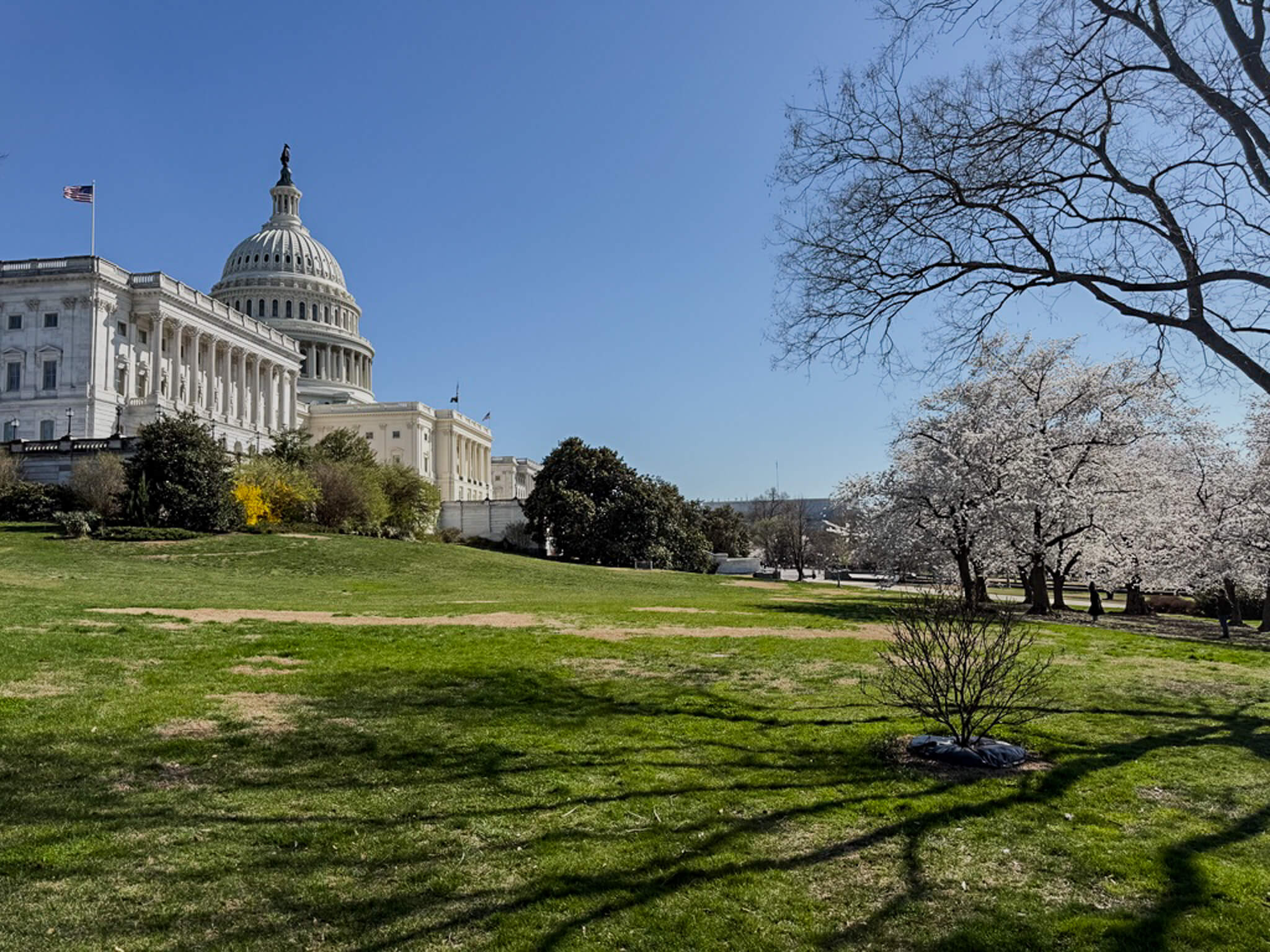 Photo of the Capitol Photo of the Capitol