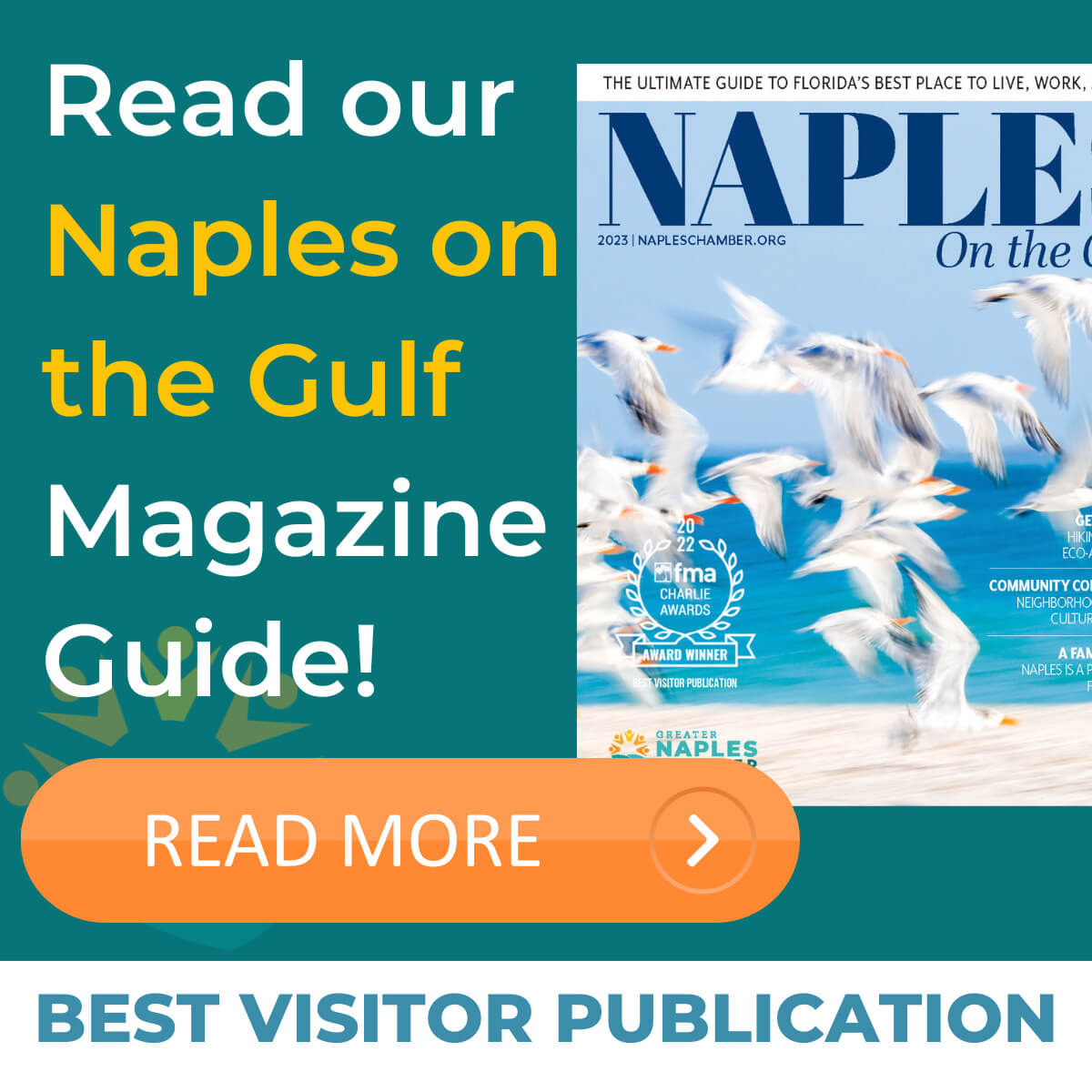 naples on the gulf graphic