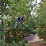 Man cutting a tree branch