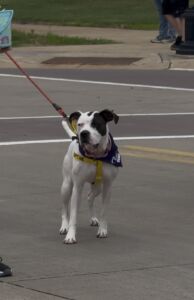 CBF parade