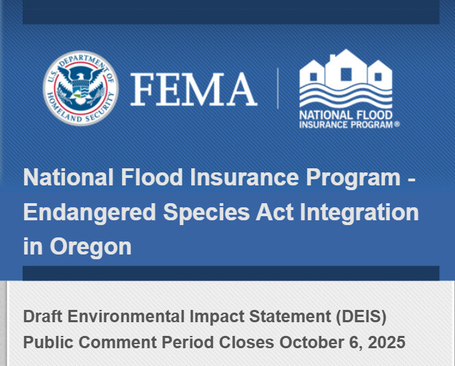 Fema Art