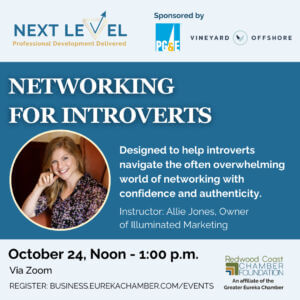 Next Level Networking for Introverts (3)