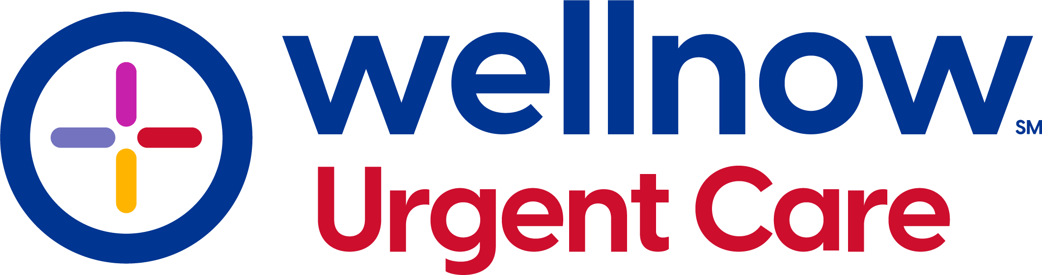 wellnow logo wellnow logo