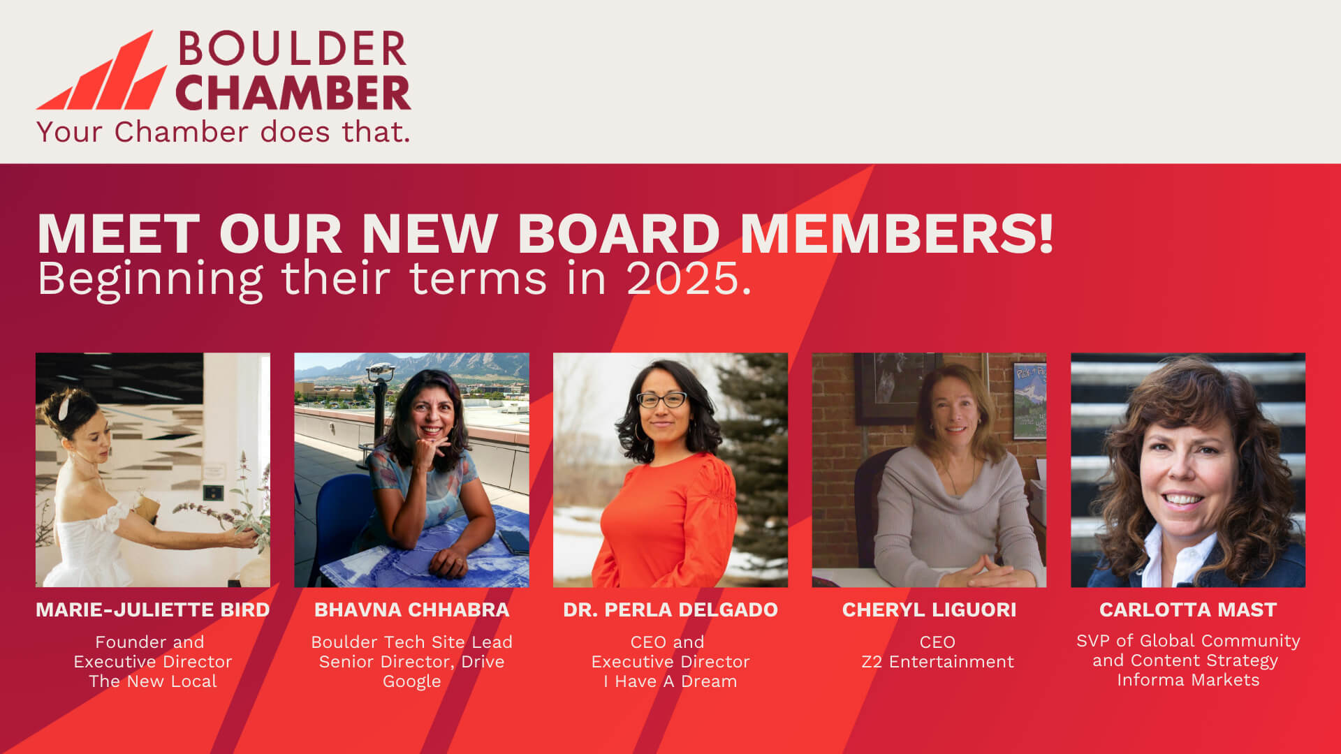 New Board Directors (2)