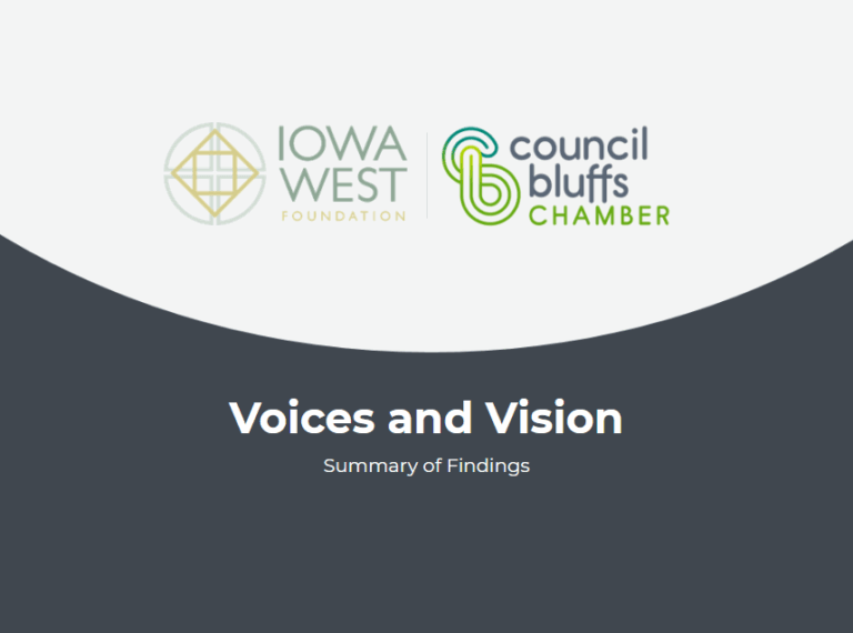 Voices and Vision Summary of Findings