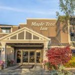 Maple Tree Inn Sunnyvale
