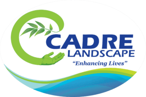 cadre