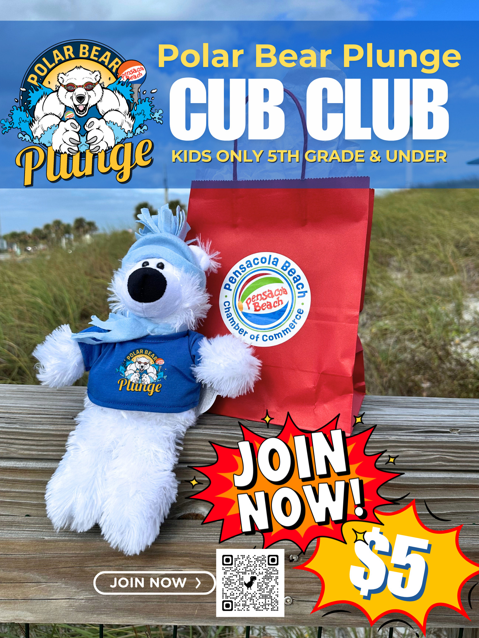 cub club graphic