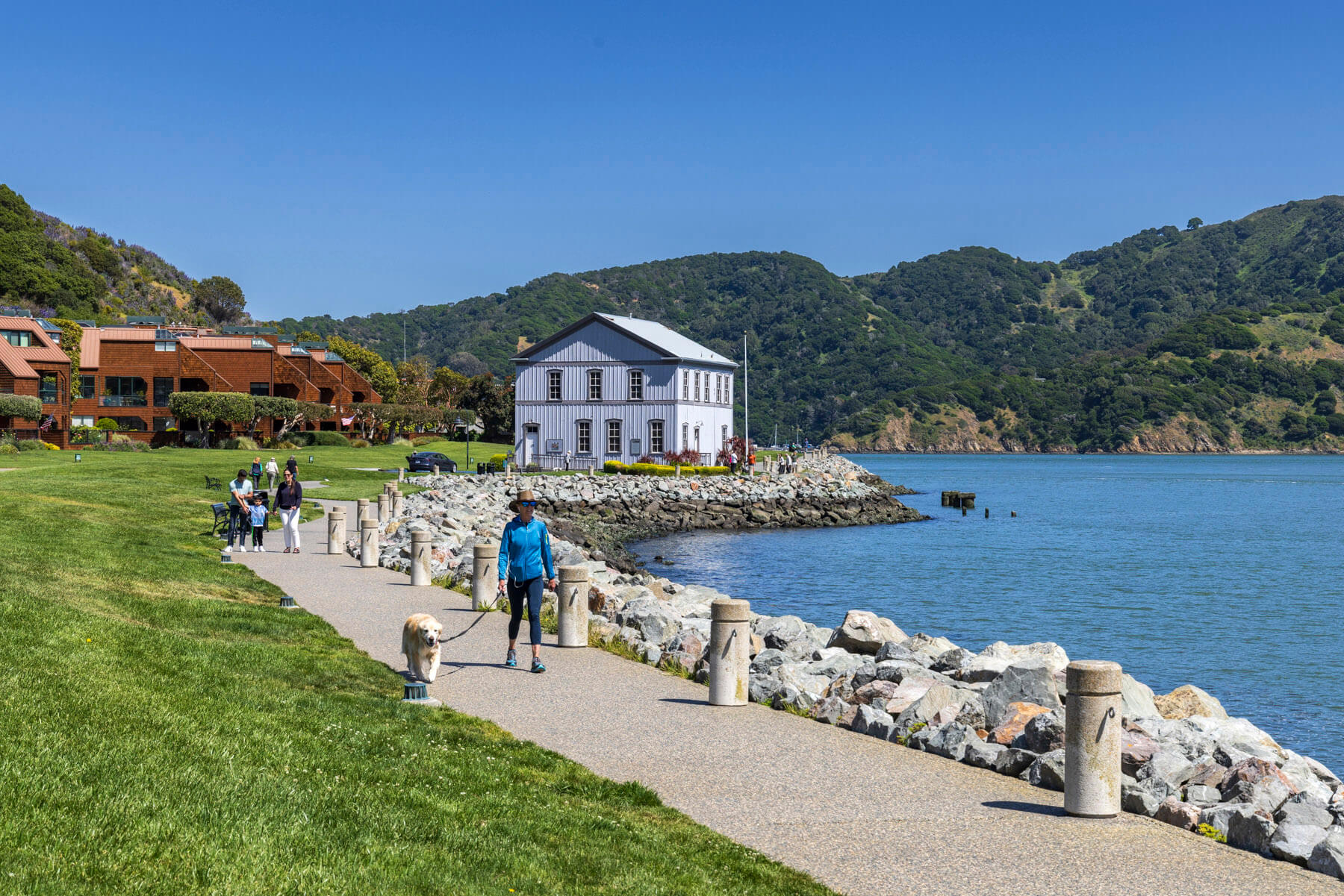 Tiburon California Shorline