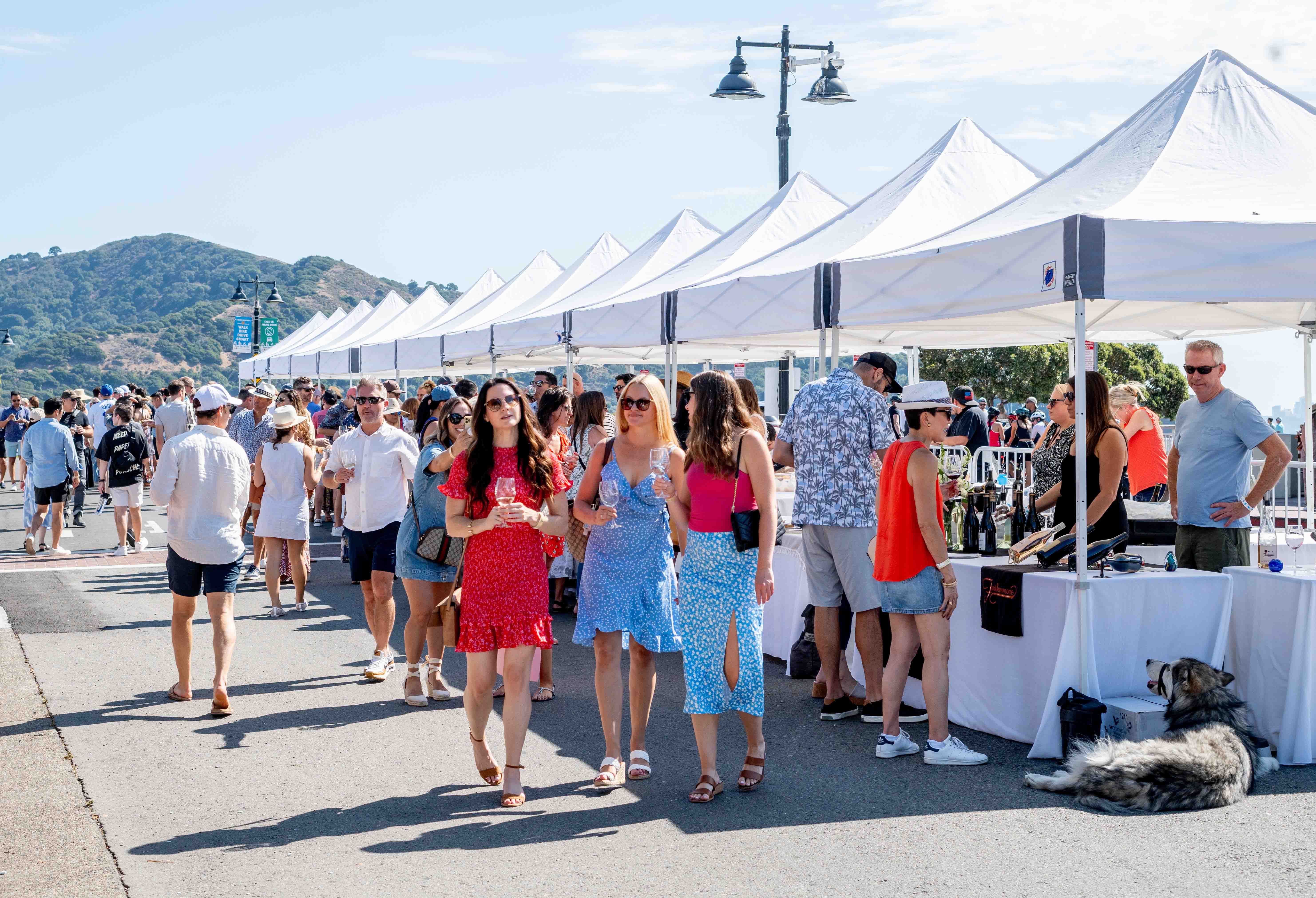 Tiburon Wine Festival Tents
