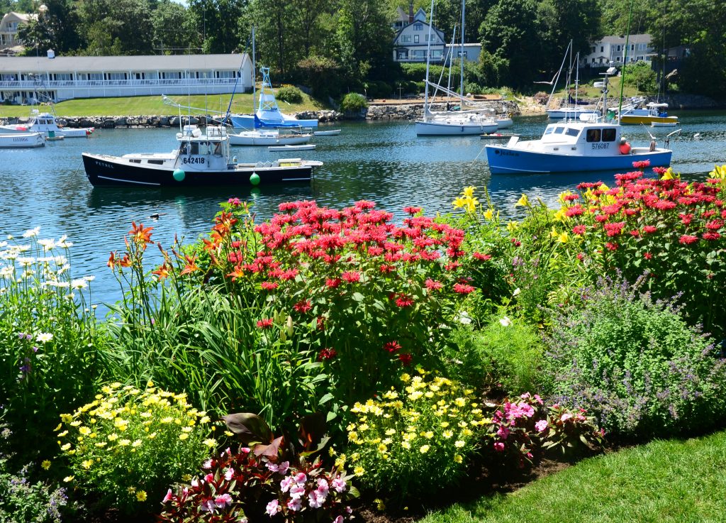 Springtime in Perkins Cove