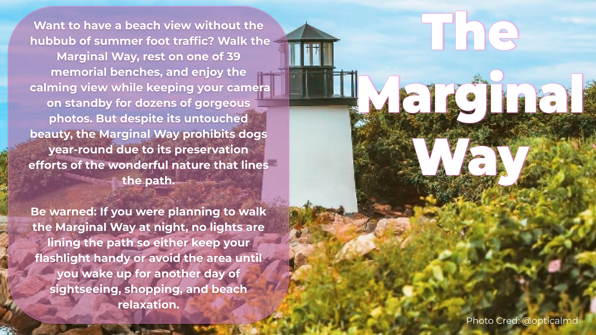 photo of the marginal way lighthouse with text stating; Want to have a beach view without the hubbub of summer foot traffic? Walk the Marginal Way, rest on one of 39 memorial benches, and enjoy the calming view while keeping your camera on standby for dozens of gorgeous photos. But despite its untouched beauty, the Marginal Way prohibits dogs year-round due to its preservation efforts of the wonderful nature that lines the path. Be warned: If you were planning to walk the Marginal Way at night, no lights are lining the path so either keep your flashlight handy or avoid the area until you wake up for another day of sightseeing, shopping, and beach relaxation.