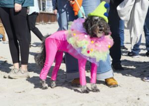 Dogtoberfest