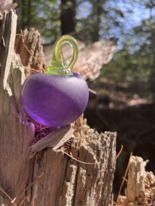 image_67215105 Beach Plum Pursuit