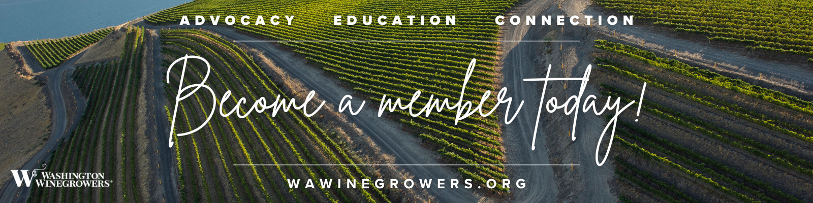 Winegrowers Membership banner