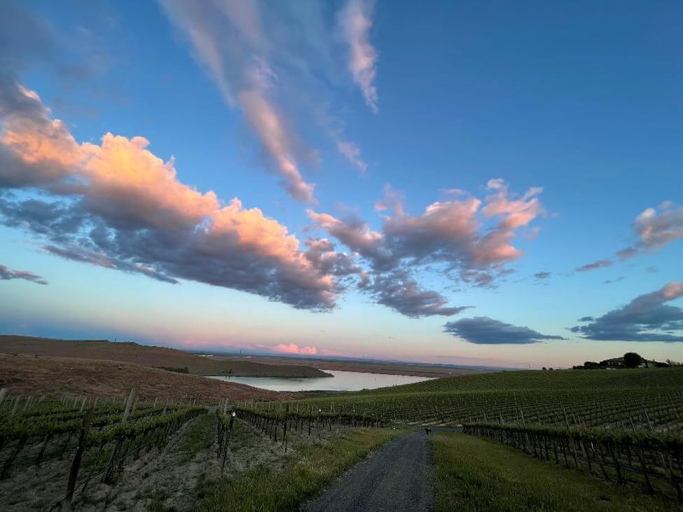 discovery sky