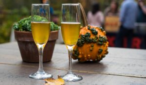 Fall Cheers, Photo Credit: Capshore Photography