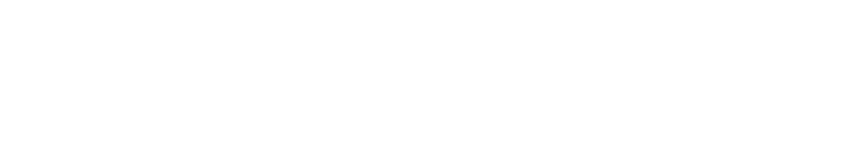 Policy Forum: Transportation logo