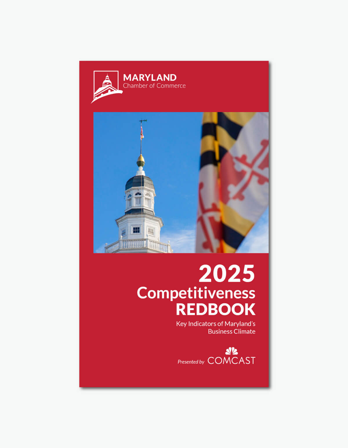 Publication-Competitiveness-Redbook-2025-Sidebar