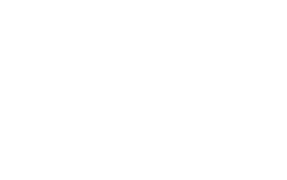 Parker Chamber Logo White
