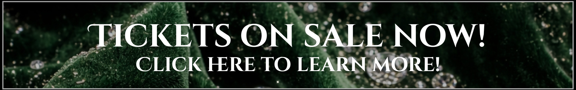 2026 website banners (thin info and buttons) (1920 x 300 px) (1)