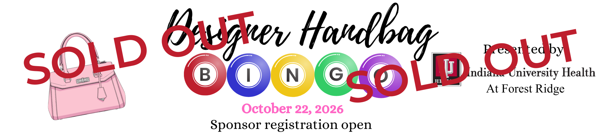 Bingo 2026 Header (2)
