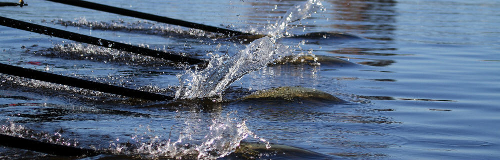 rowing paddles splashing in water