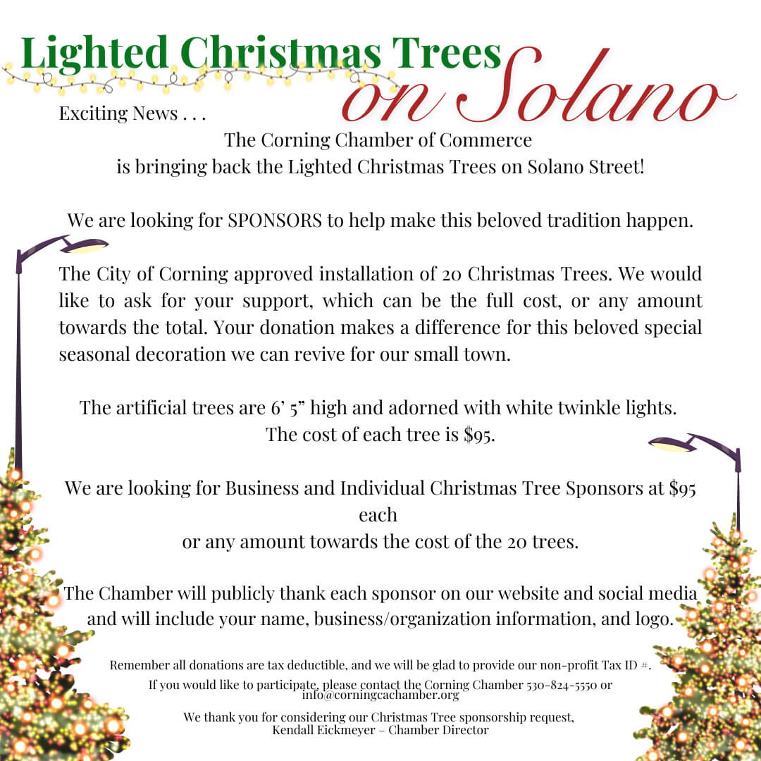 Lighted Christmas Trees