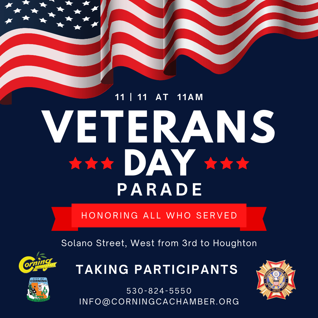 Navy Blue &amp; Red American Veterans Day Instagram Post (2)