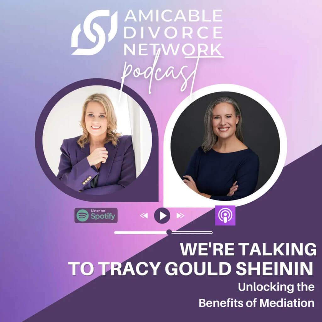 Amicable Divorce Network Podcast - Tracy Gould Sheinin