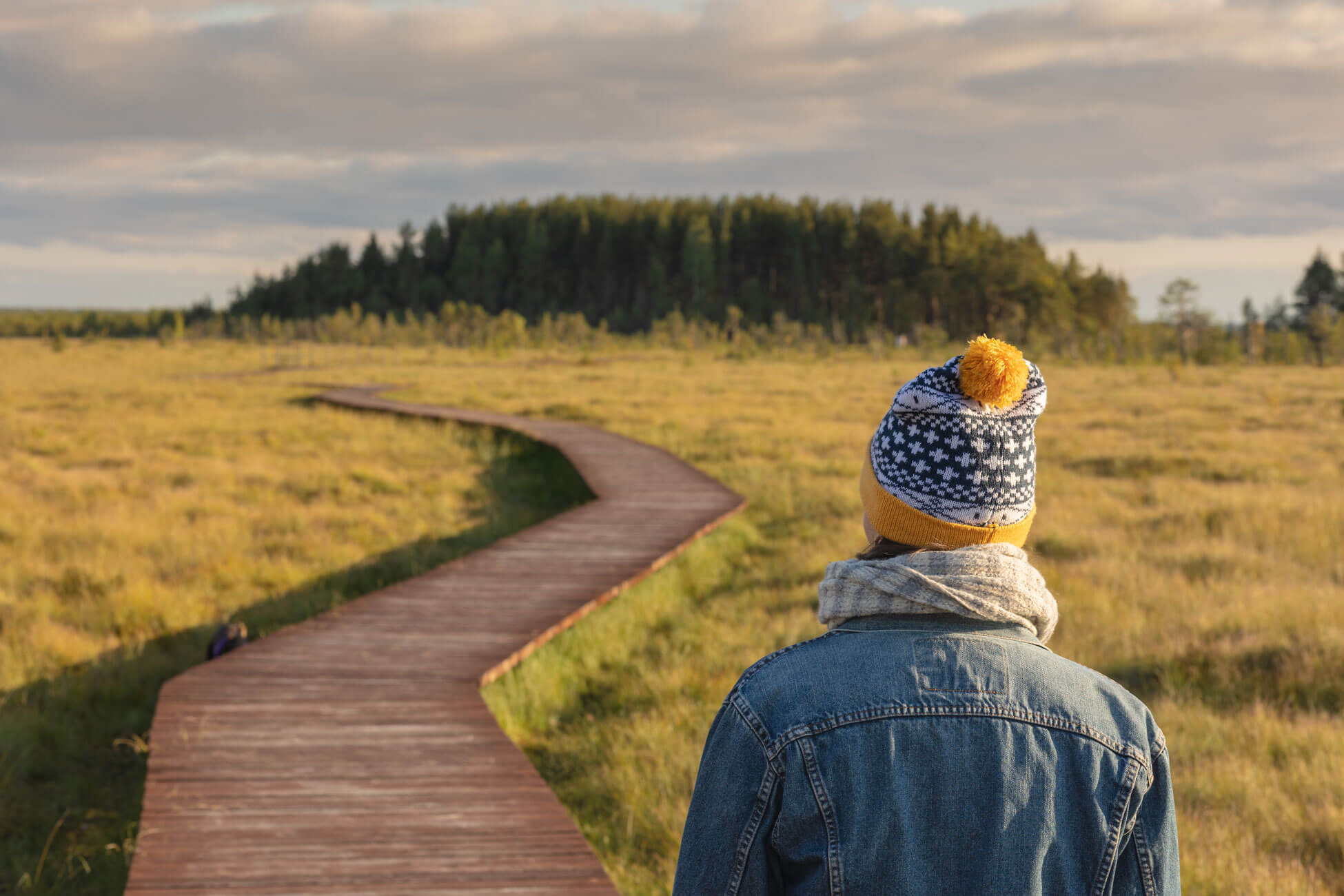 choosing-your-path-a-guide-to-modern-divorce-options