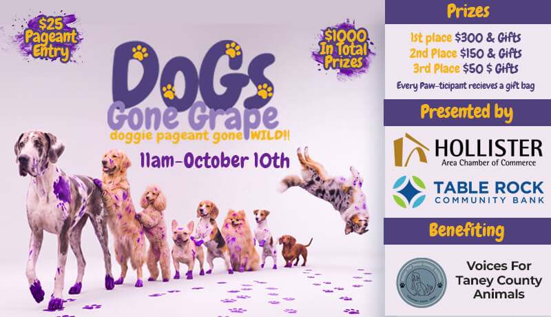 Gone Grape Flyer - Web banner