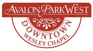 APW Downtown logo red