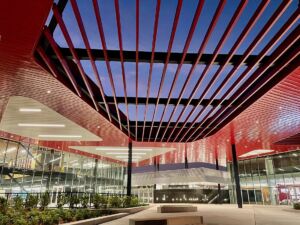 417866_standard_t1100