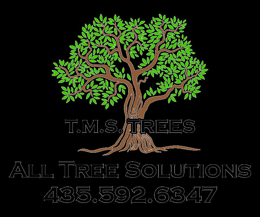 T.M.S. Trees