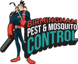 Birmingham Mosquito