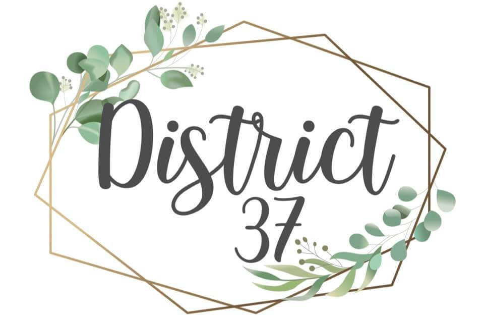district 37 (1)