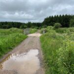 Tuscobia Trail - June 2024