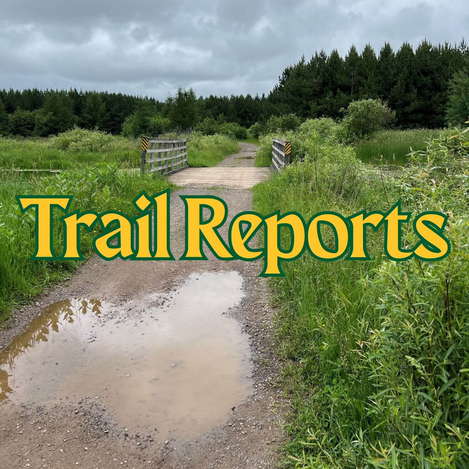 Trail Reports