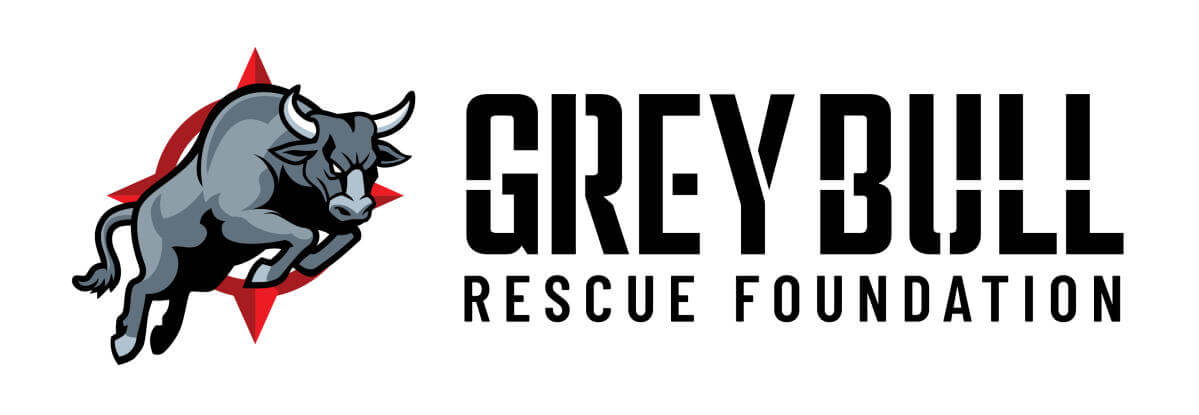 Grey Bull Rescue Foundation