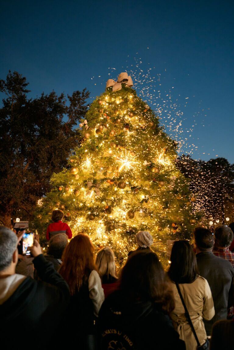 Christmas Tree Holiday WOTA