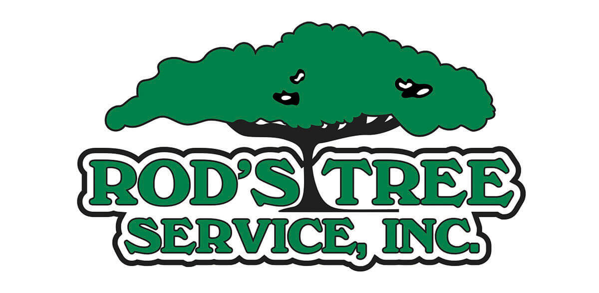 rod's tree service