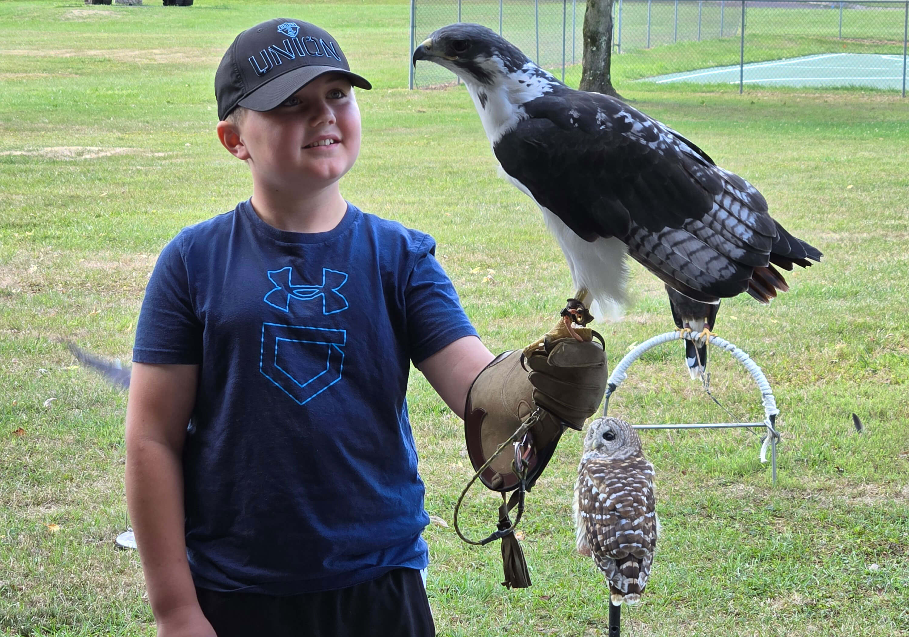 birds-of-prey