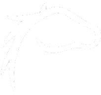 white horse icon