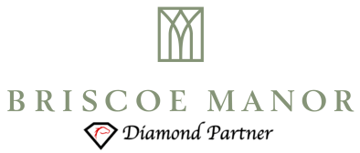 Diamond Partner