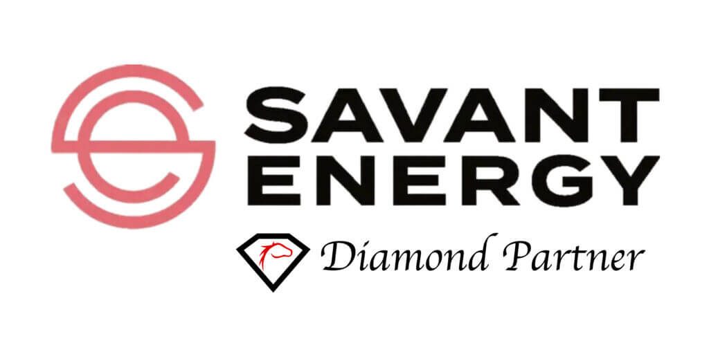 https://growthzonecmsprodeastus.azureedge.net/sites/579/2024/12/Savant-Energy-Diamond-1-1024x512.jpg