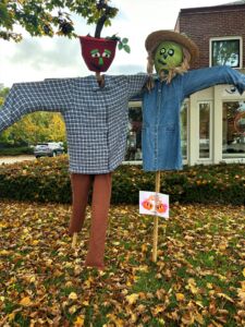 Apple Eye Care Scarecrow