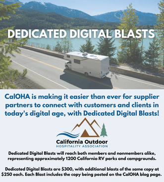 Dedicated Digital Blast informational graphic