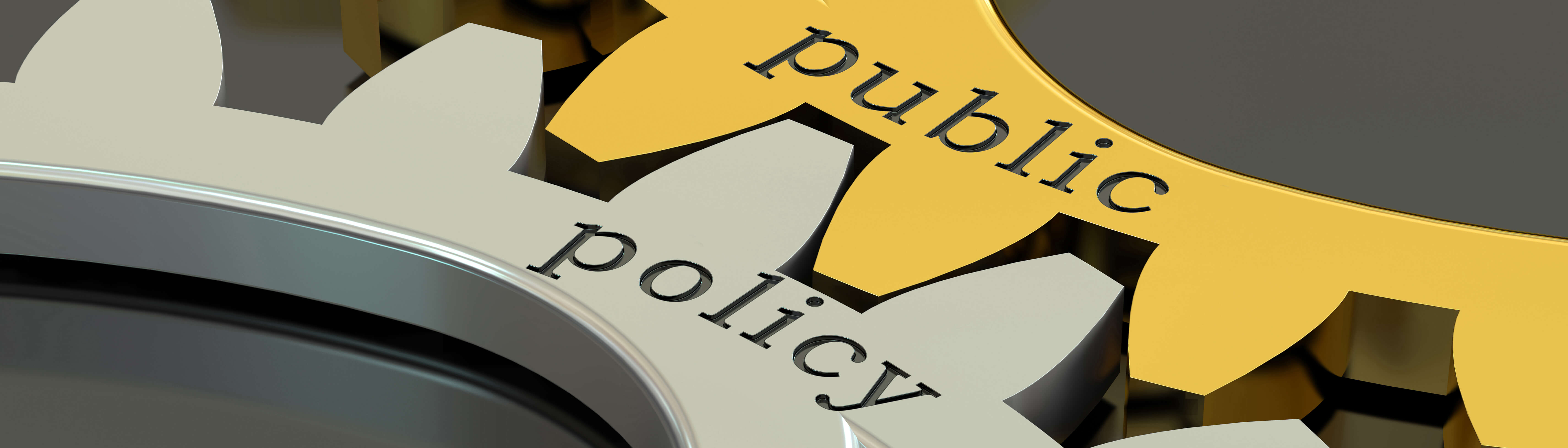 Public Policy Banner